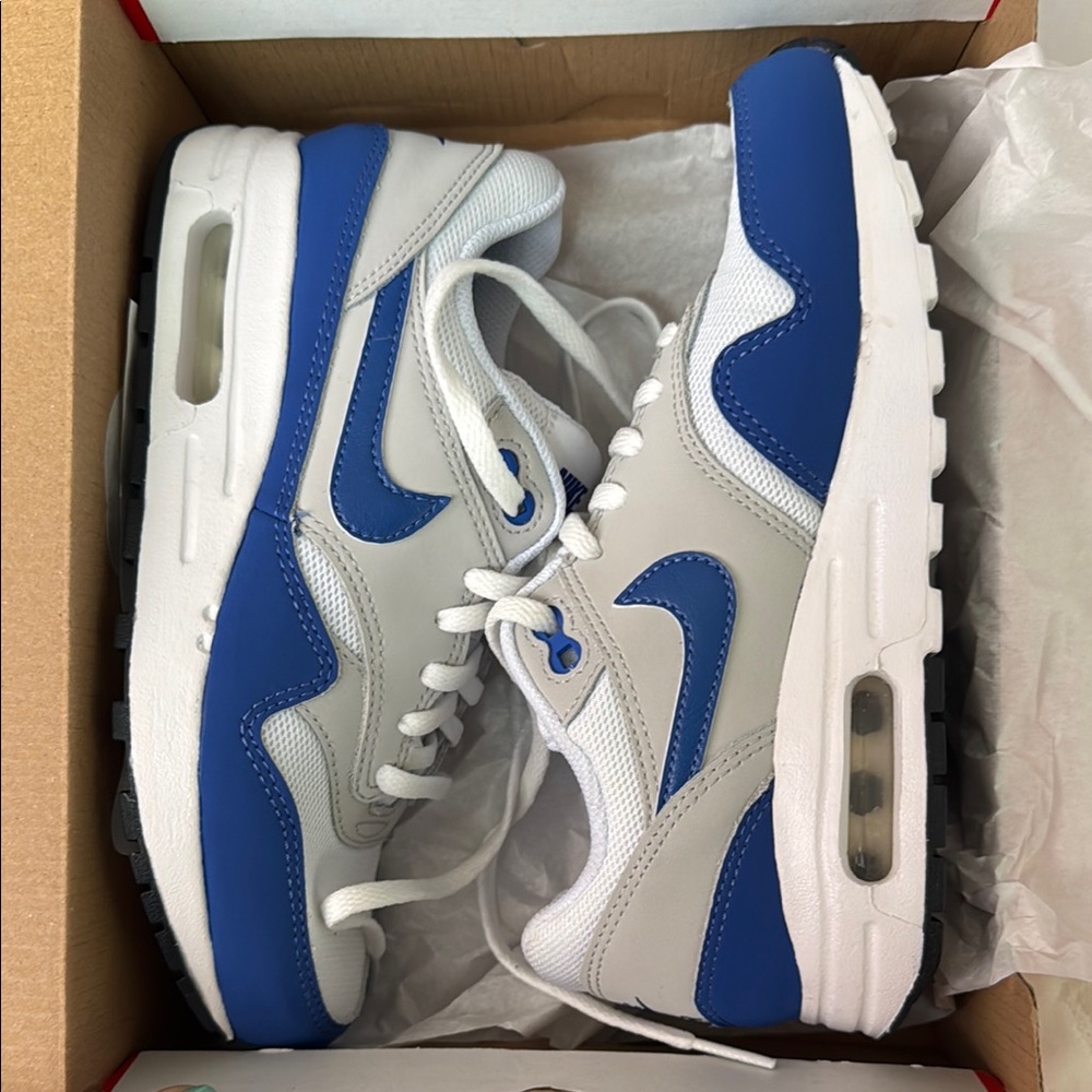 Nike Air Max Blue and White Shoes